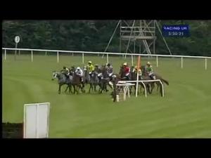 Video preview image for Huntingdon 17:30 - Marie Curie Daffodil Handicap Hurdle