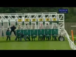 Video preview image for Catterick Bridge 14:10 - Bet Toteplacepot At totepool.com Median Auction Maiden Stakes