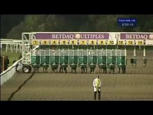 Video preview image for Kempton Park 20:20 - Ladies Day At Kempton 08.09.2012 Handicap