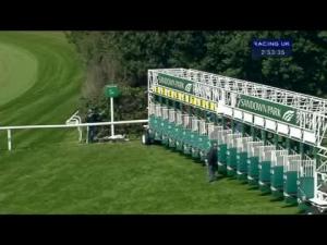 Video preview image for Sandown Park 14:50 - Wisecall Claims Assistance Handicap