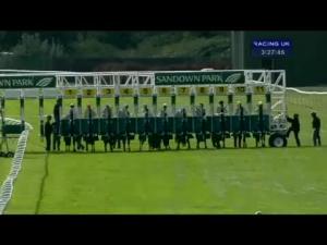Video preview image for Sandown Park 15:25 - British Stallion Studs Supporting British Racing E.B.F. Maiden Stakes (Div 1)