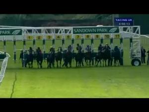Video preview image for Sandown Park 16:00 - British Stallion Studs Supporting British Racing E.B.F. Maiden Stakes (Div 2)