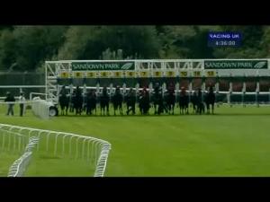 Video preview image for Sandown Park 16:35 - Duralock Fencing Handicap