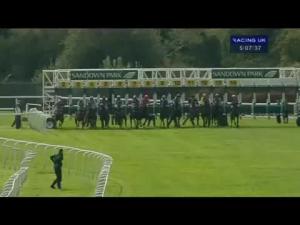 Video preview image for Sandown Park 17:05 - Surbiton Maiden Fillies' Stakes