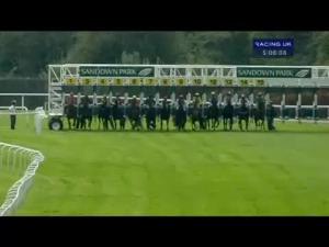 Video preview image for Sandown Park 17:05 - Otg Products Handicap