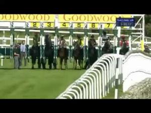 Video preview image for Goodwood 15:30 - Reheat Nursery