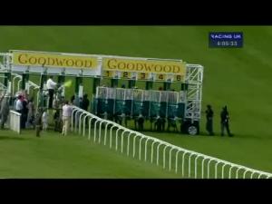 Video preview image for Goodwood 16:05 - Peter Willett Stakes (Registered As The Stardom Stakes) (Listed)