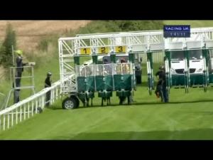 Video preview image for Salisbury 13:40 - E.B.F. Whitsbury Manor Stud Novice Stakes