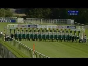 Video preview image for Haydock Park 14:15 - Betfred 'The Bonus King' Be Friendly Handicap