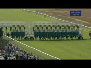 Video preview image for Thirsk 16:05 - Hambleton Cup (Handicap)