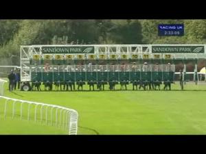 Video preview image for Sandown Park 14:30 - British Stallion Studs Supporting British Racing E.B.F. Maiden Stakes