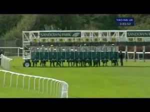 Video preview image for Sandown Park 15:05 - Sungard Handicap