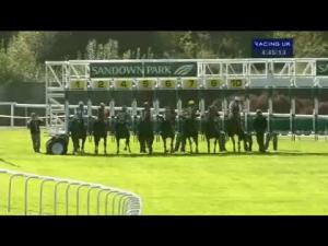 Video preview image for Sandown Park 16:45 - Hwfa Williams Handicap (Div 1)