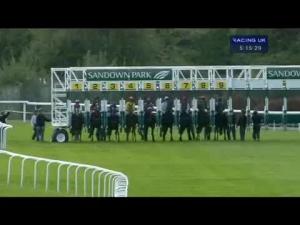 Video preview image for Sandown Park 17:15 - Hwfa Williams Handicap (Div 2)