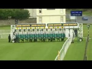 Video preview image for Musselburgh 17:10 - Fearless Freddie The Place To Bet Handicap