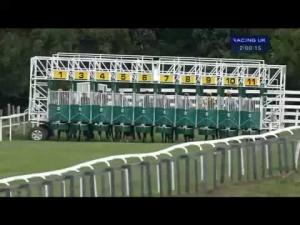 Video preview image for Beverley 14:00 - Beverley Annual Badgeholders Selling Nursery