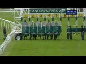 Video preview image for Sandown Park 15:25 - Racehorse Sanctuary Rescue & Re-Homing Centre Novice Stakes