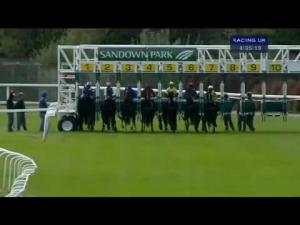 Video preview image for Sandown Park 16:35 - Racehorse Sanctuary Flagship Moorcroft Boy Handicap