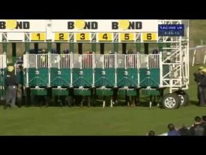 Video preview image for Beverley 16:45 - Sheila Stamford Always Remembered Birthday Handicap