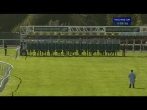 Video preview image for Sandown Park 17:05 - Ken Manley Memorial Fillies' Handicap