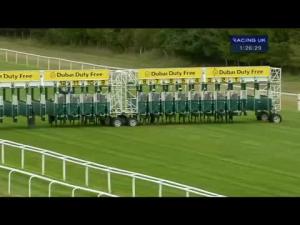 Video preview image for Newbury 13:25 - Sthree Plc E.B.F. Maiden Stakes (Div 1)