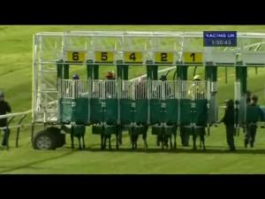 Video preview image for Ayr 13:50 - City Refrigeration Holdings (UK( Limited/E.B.F. Maiden Stakes