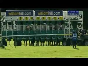 Video preview image for Ayr 15:25 - William Hill Supporting Dumfries House Ayrshire Handicap