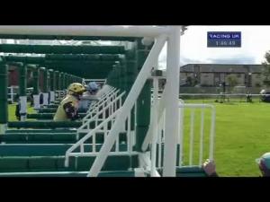 Video preview image for Ayr 13:45 - William Hill Ayr Bronze Cup Handicap