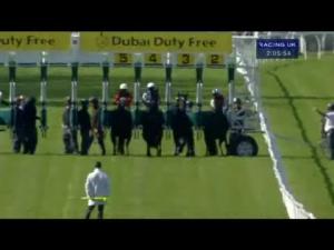 Video preview image for Newbury 14:05 - Dubai Duty Free Arc Trial (Group 3)