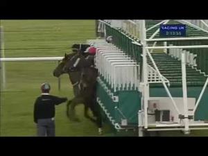 Video preview image for Newmarket 14:10 - 100,000 Tattersalls Millions Fillies' Median Auction Stakes