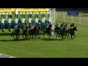 Video preview image for Newbury 14:35 - Dubai Duty Free Mill Reef Stakes (Group 2)