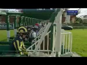 Video preview image for Ayr 15:30 - William Hill Ayr Gold Cup (Heritage Handicap)