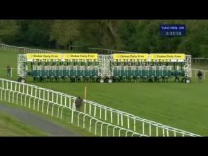 Video preview image for Newbury 17:30 - Heatherwold Stud Handicap (Str)