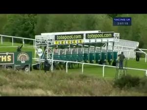 Video preview image for Hamilton Park 14:40 - Bet Totequadpot Text Tote To 89660 Claiming Stakes