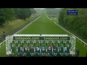 Video preview image for Hamilton Park 16:40 - Try Totequickpick If You Are Feeling Lucky Handicap (Div 2)