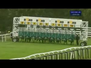 Video preview image for Beverley 14:40 - Thanks For Your Support In 2012 Maiden Auction Stakes