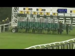 Video preview image for Beverley 15:10 - Eddie and Violet Smith Conditions Stakes