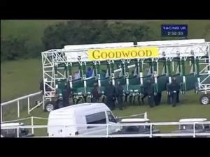 Video preview image for Goodwood 14:35 - Hildon Natural Mineral Water Handicap (Div 1)