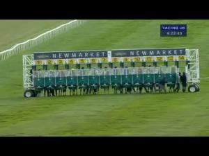 Video preview image for Newmarket 16:15 - Jockey Club Rose Bowl (Formerly The Fenwolf Stakes) (Listed)