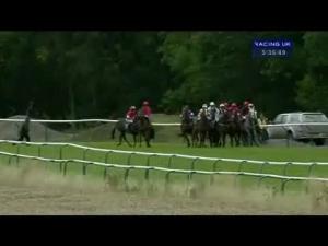 Video preview image for Perth 17:35 - Better Prices On Betfair Mobile Standard Open NH Flat Race