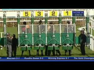 Video preview image for Chester 14:20 - Clwyd Bearings & Transmission Maiden Fillies' Stakes