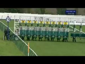 Video preview image for Ayr 15:40 - Talk To Victor Handicap
