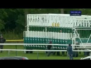 Video preview image for Ayr 16:40 - Back The Bhoys With BetVictor Handicap