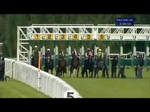 Video preview image for Salisbury 15:35 - Higos Insurance Services Conditions Stakes