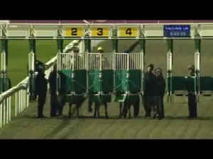 Video preview image for Kempton Park 20:40 - Book Now For Jump Sunday 21.10.12 Novice Stakes