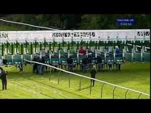 Video preview image for Warwick 15:40 - Betfair Sponsors The Stable Staff Canteen E.B.F. Maiden Fillies' Stakes (Div 2)
