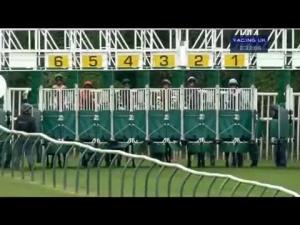Video preview image for Nottingham 14:30 - Bdn Civil Engineering E.B.F. Maiden Stakes