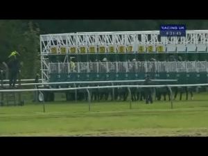 Video preview image for Nottingham 16:30 - Bdn Construction Handicap