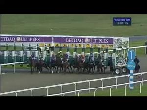Video preview image for Kempton Park 18:00 - Back Or Lay At betdaq.com Claiming Stakes