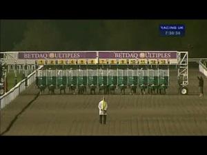 Video preview image for Kempton Park 19:30 - Betdaq Casino Games Handicap